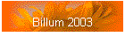 Billum 2003